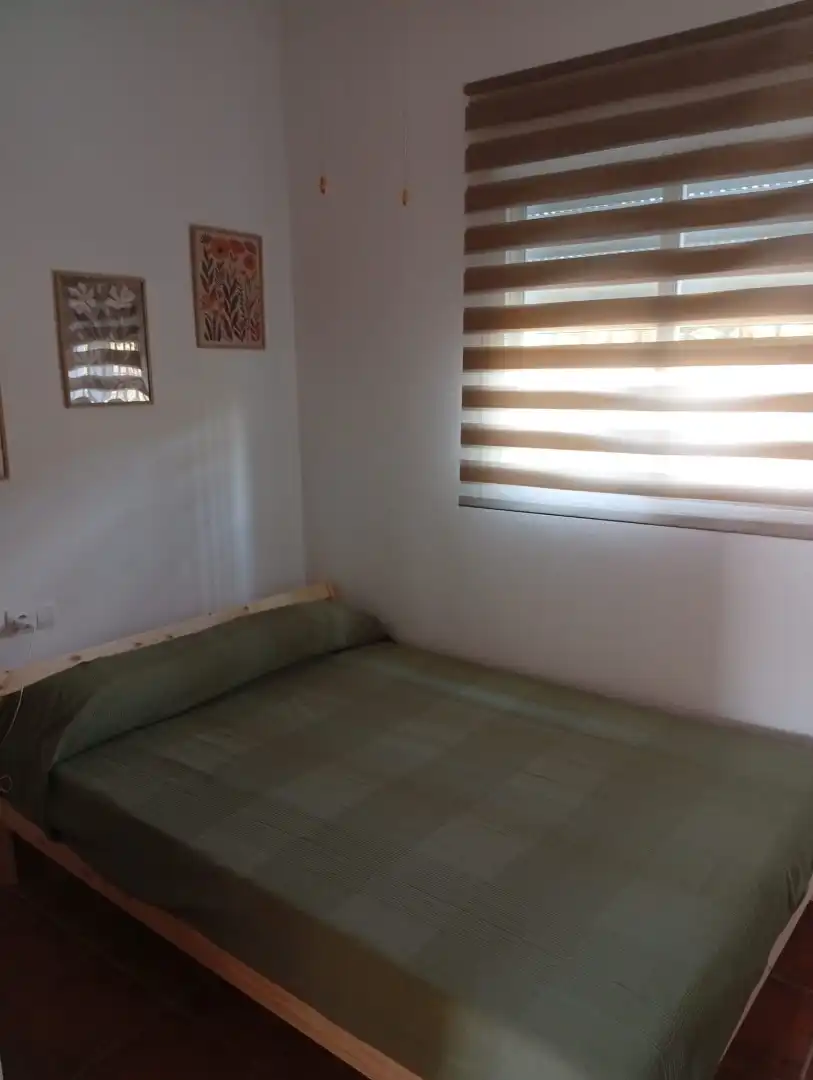 Chalet en  Pago Barrio Nuevo 229 - Foto 3