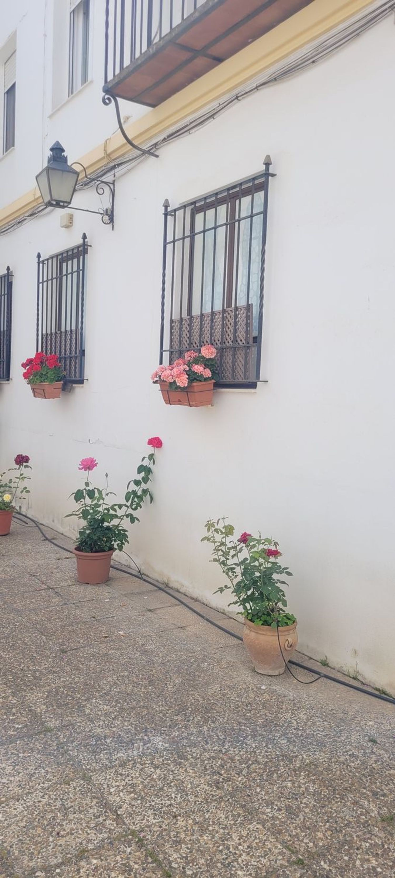 Piso en Calle San Pablo, 23, Casco Histórico - Ollerías - Marrubial - Foto 18