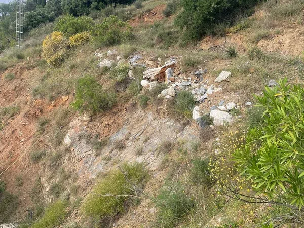 Finca rústica en Camino de Alozaina, 10 - Foto 5