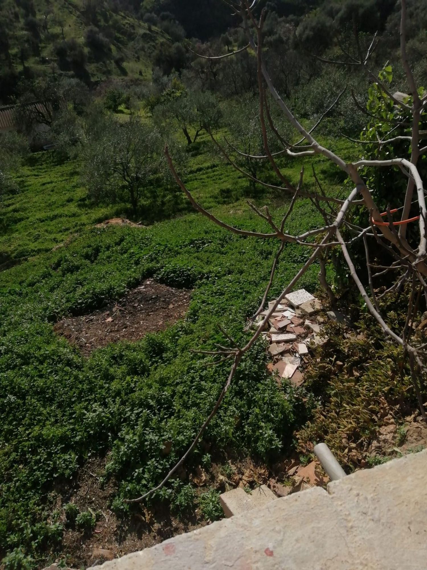Casa rural en Barriada Don Ramón, 19, Diseminados - Foto 26