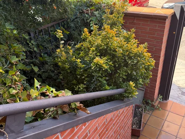 Chalet adosado en Calle Valle de Cardos, Valdezarza - Foto 4