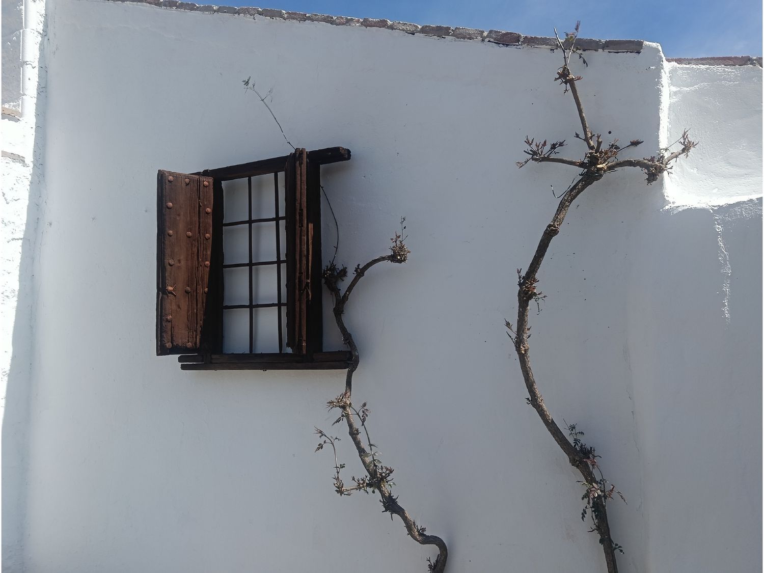 Casa rural en Camino de las Lomas de Villanueva s/n - Foto 22