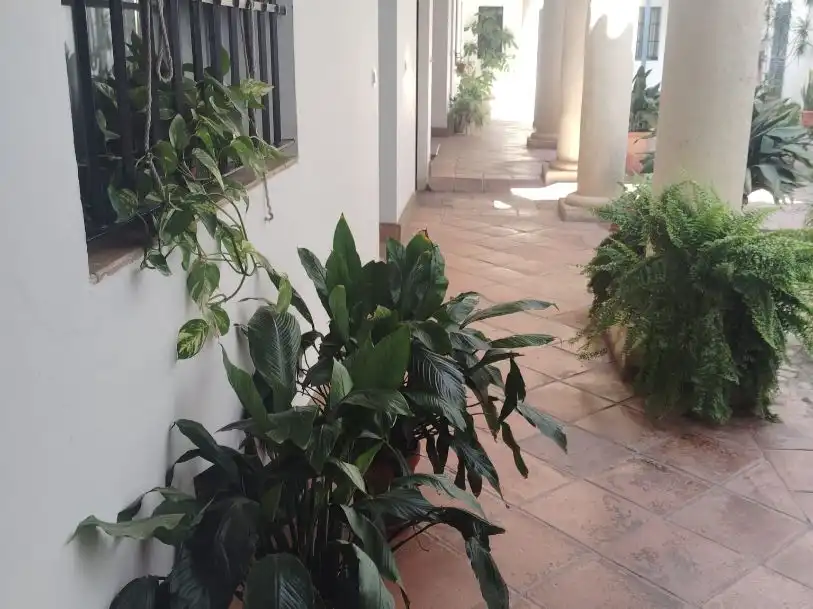 Piso en  Calle Imperial 43 - Foto 3
