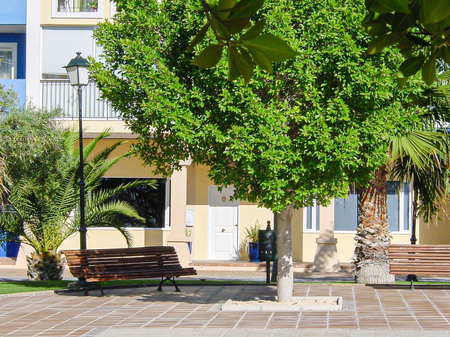 Estudio en calle de la Nit, 1 - Foto 17