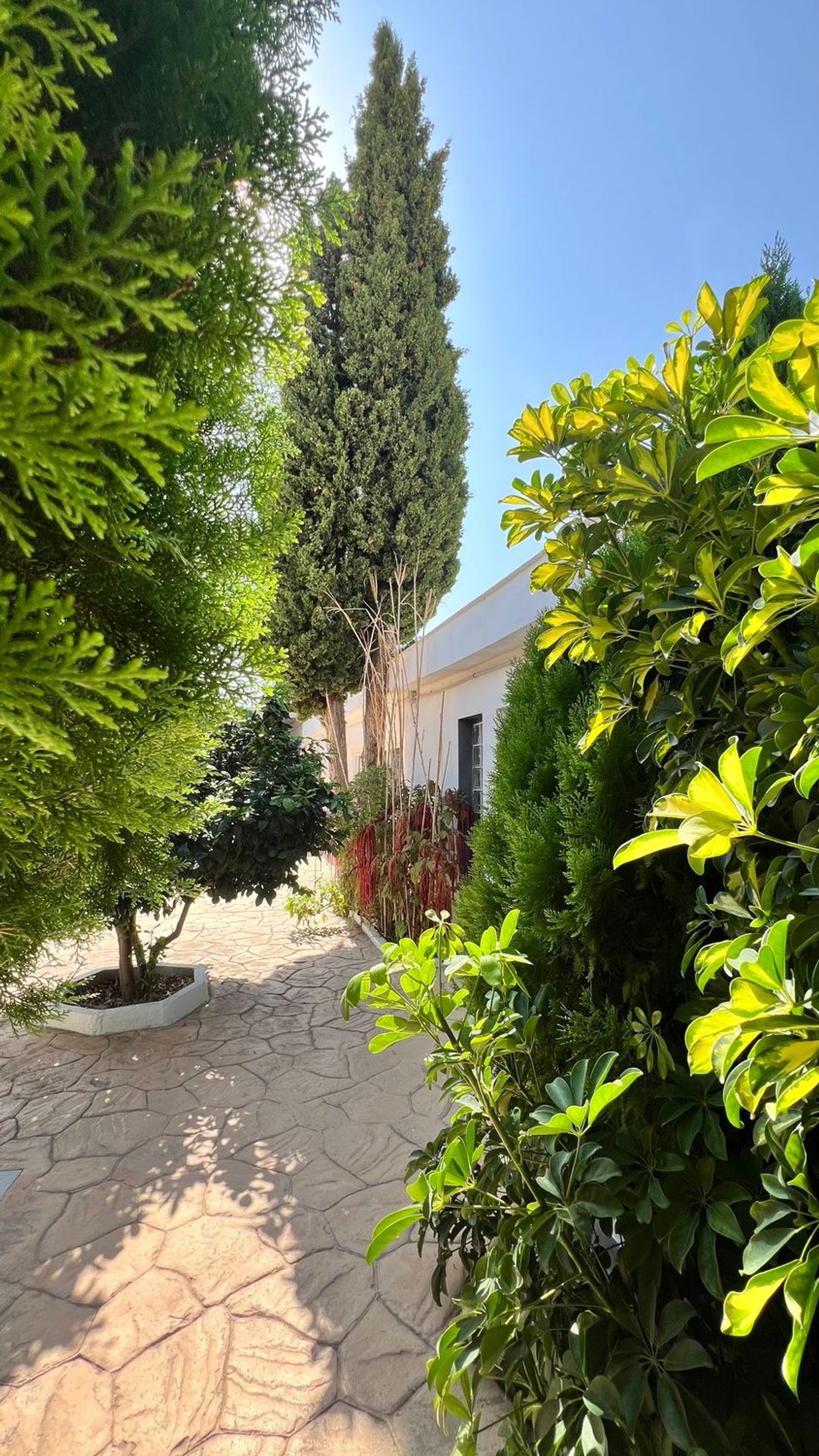 Estudio en Valle del Sol - El Portel, Valle del Sol - El Portel - Foto 10