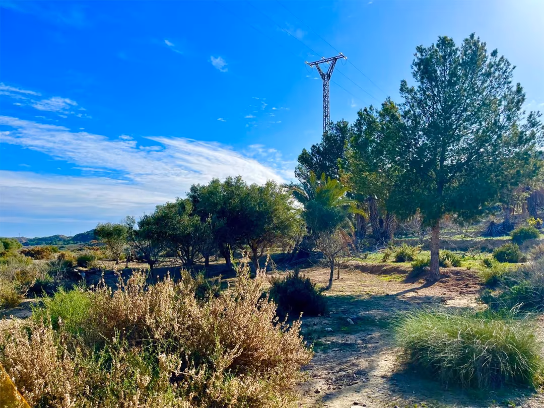 Finca rústica en  Camino Viejo de Saladas 10 - Foto 21