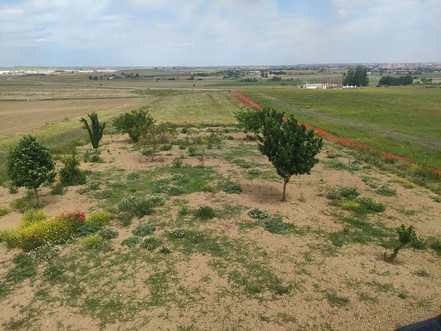 Finca rústica en  Carretera Salamanca 8101 - Foto 13