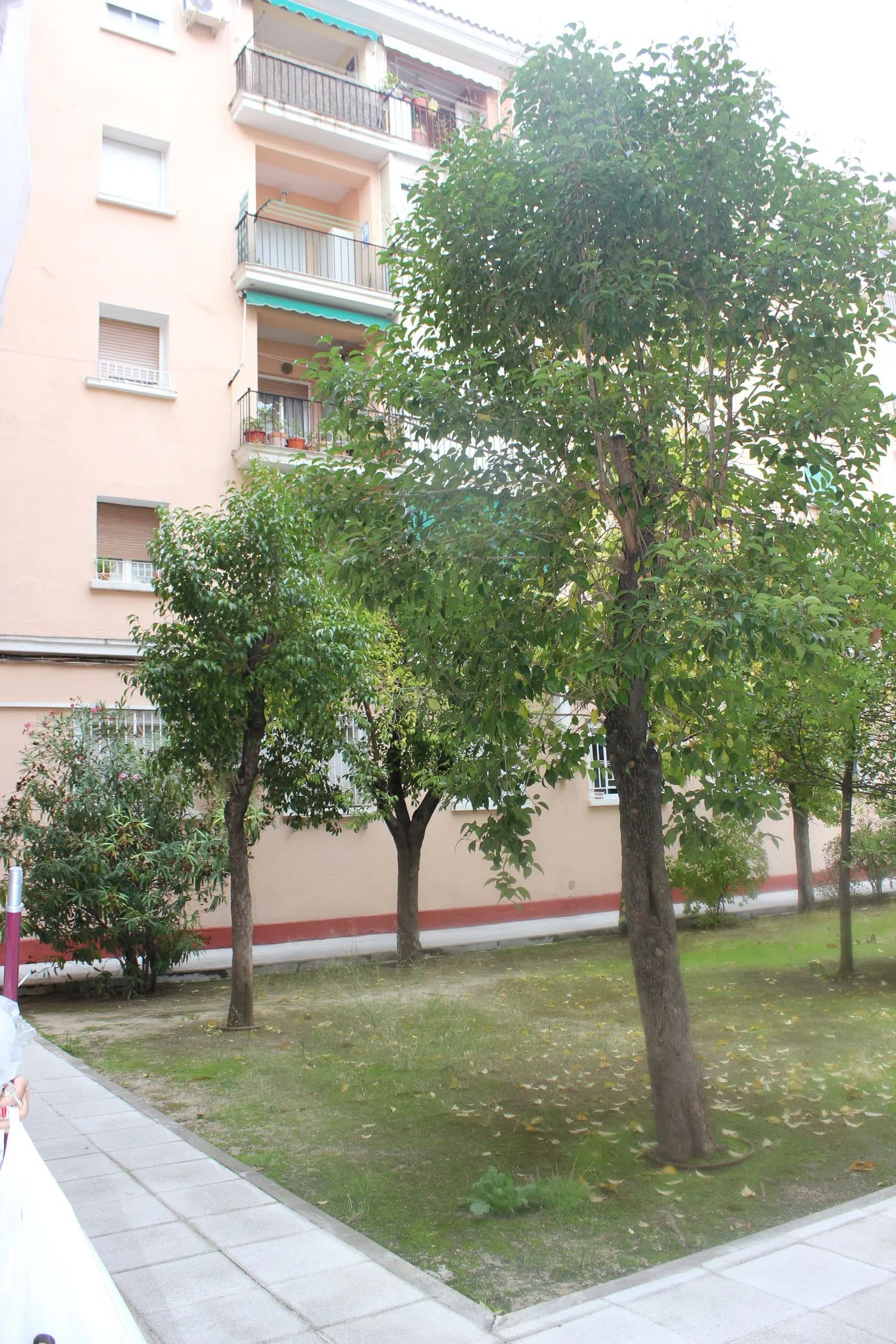 Piso en calle del General Orgaz, 4 - Foto 4