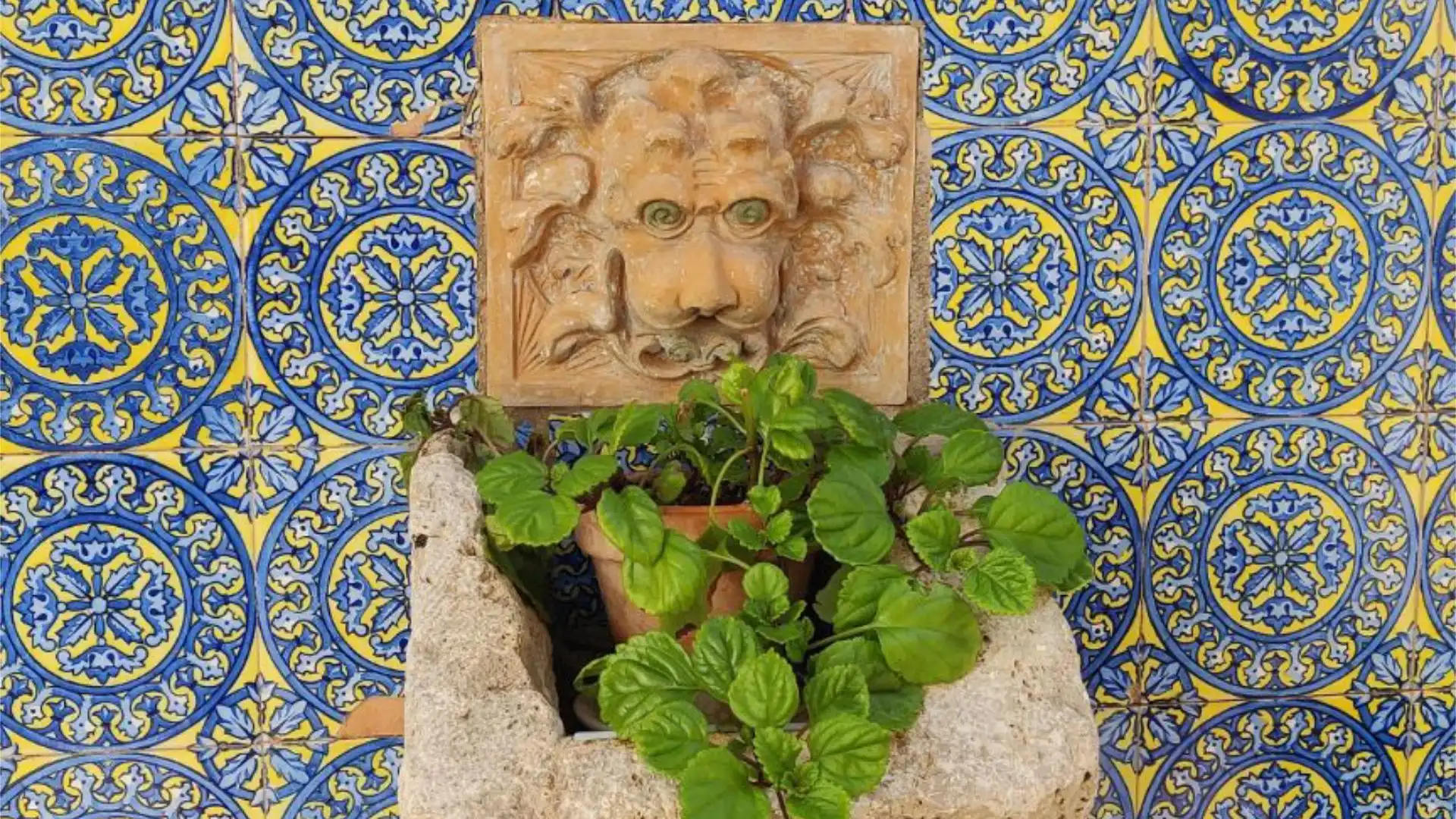 Chalet en  Carrer 413 3 - Foto 18