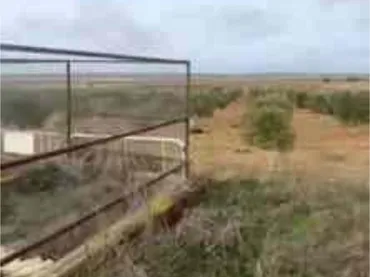 Casa adosada en finca rústica - Foto 9