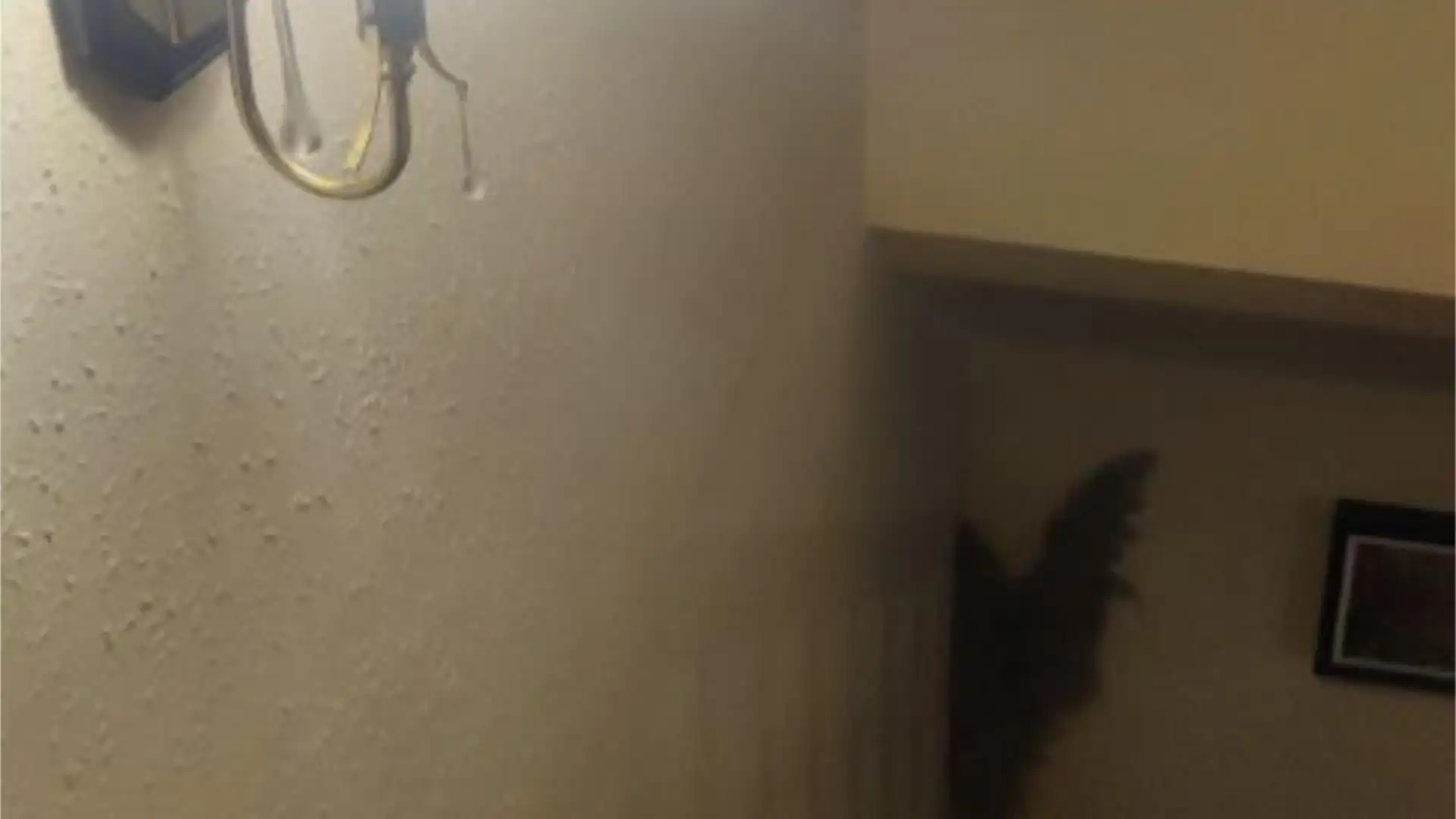 Casa adosada en  Carrer de l'Abat Escarré 34 - Foto 25