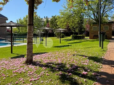 Planta baja en Majadahonda - Foto 56