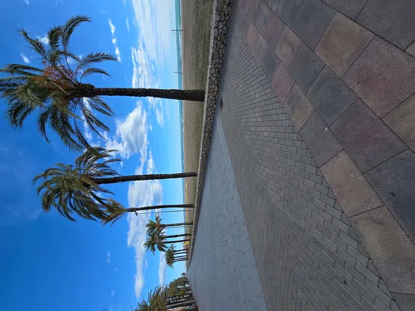 Dúplex en calle del Miño, 5 -9 - Foto 26