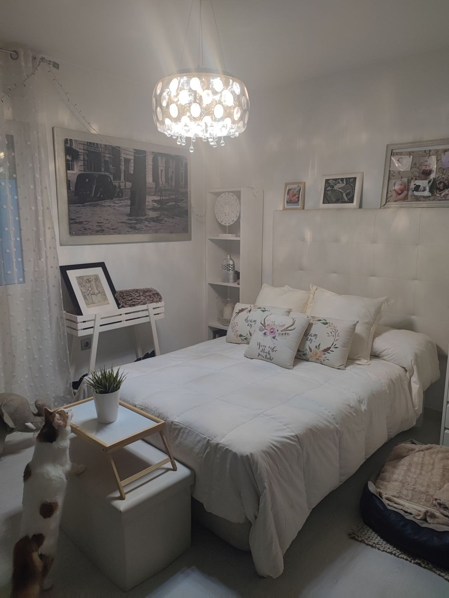 Piso en Ceclavin, 12, Casco Antiguo, Cáceres - Foto 16
