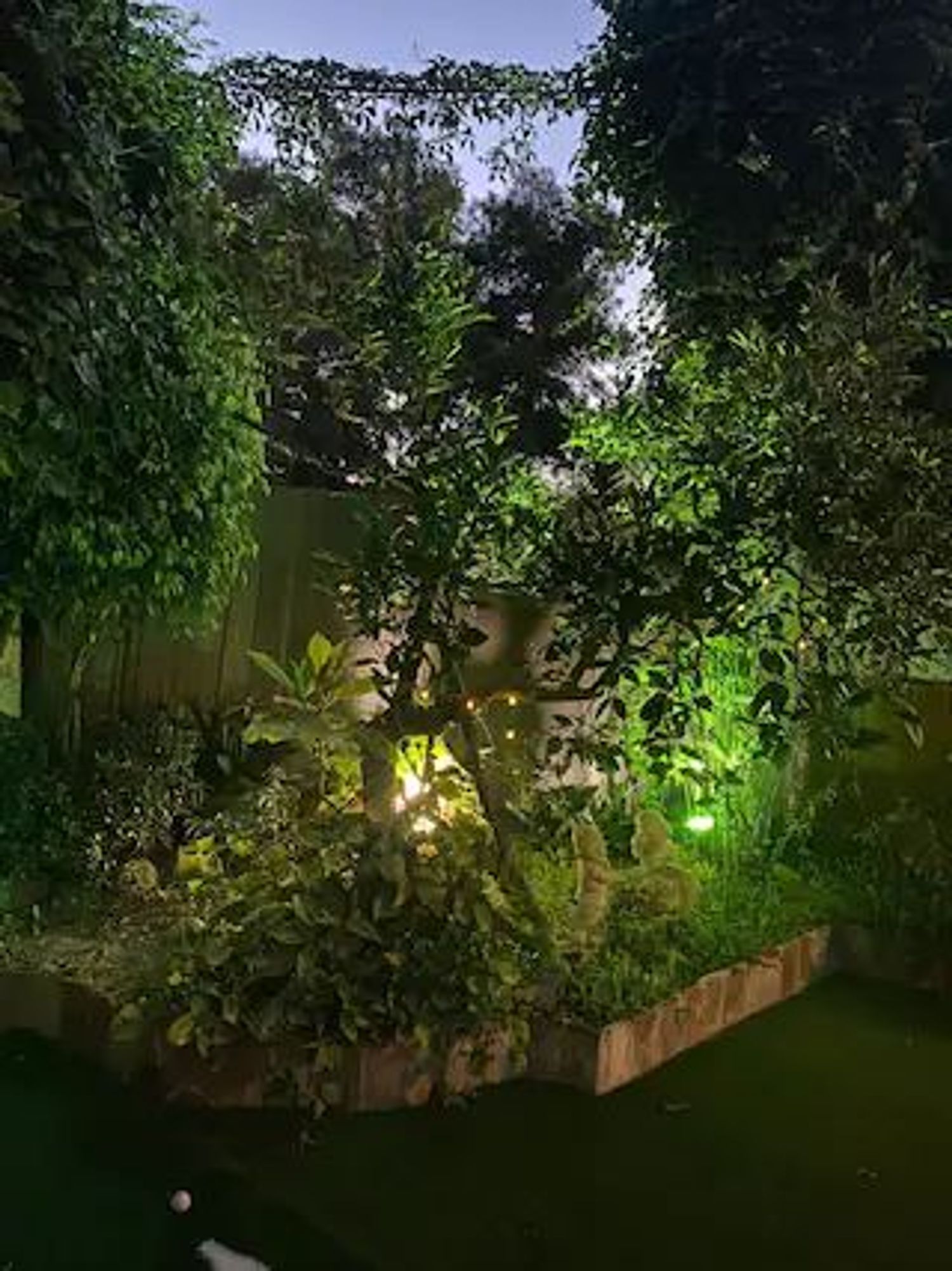 Chalet adosado en camino Gibralfaro, 2 - Foto 10