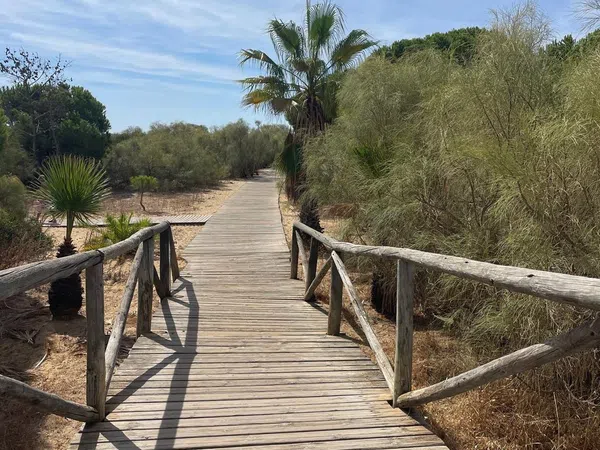 Piso en Calle Murcia, 4, El Rompido, El Rompido - Foto 31
