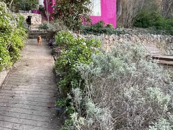 Casa terrera en calle roca s/n Sn - Foto 22