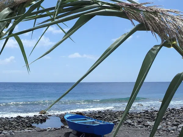 Casa independiente en paseo de la playa, 4 - Foto 26