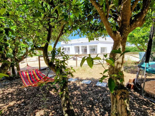 Finca rústica en carril el Clavijo, 39 - Foto 1