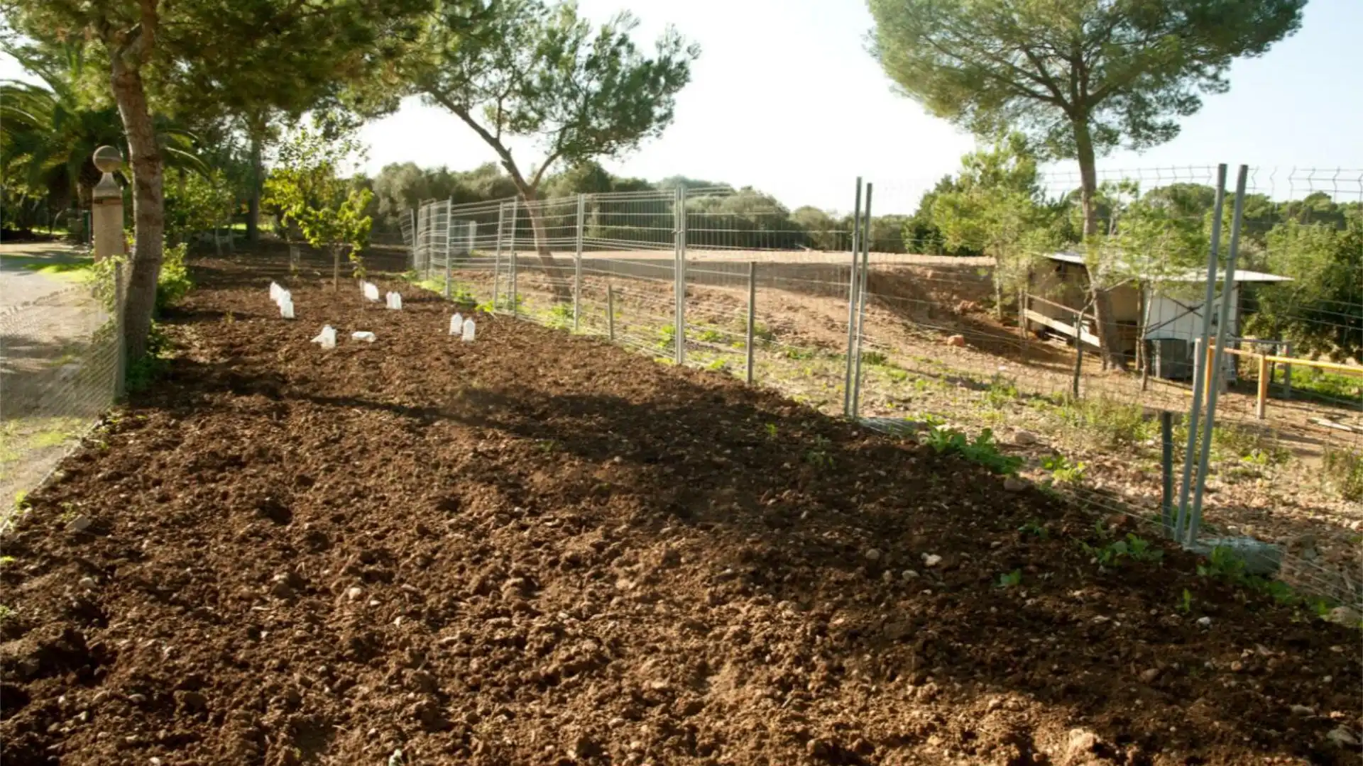Finca rústica en  Diseminado 8725- Sa Casa Blanca 363 - Foto 13