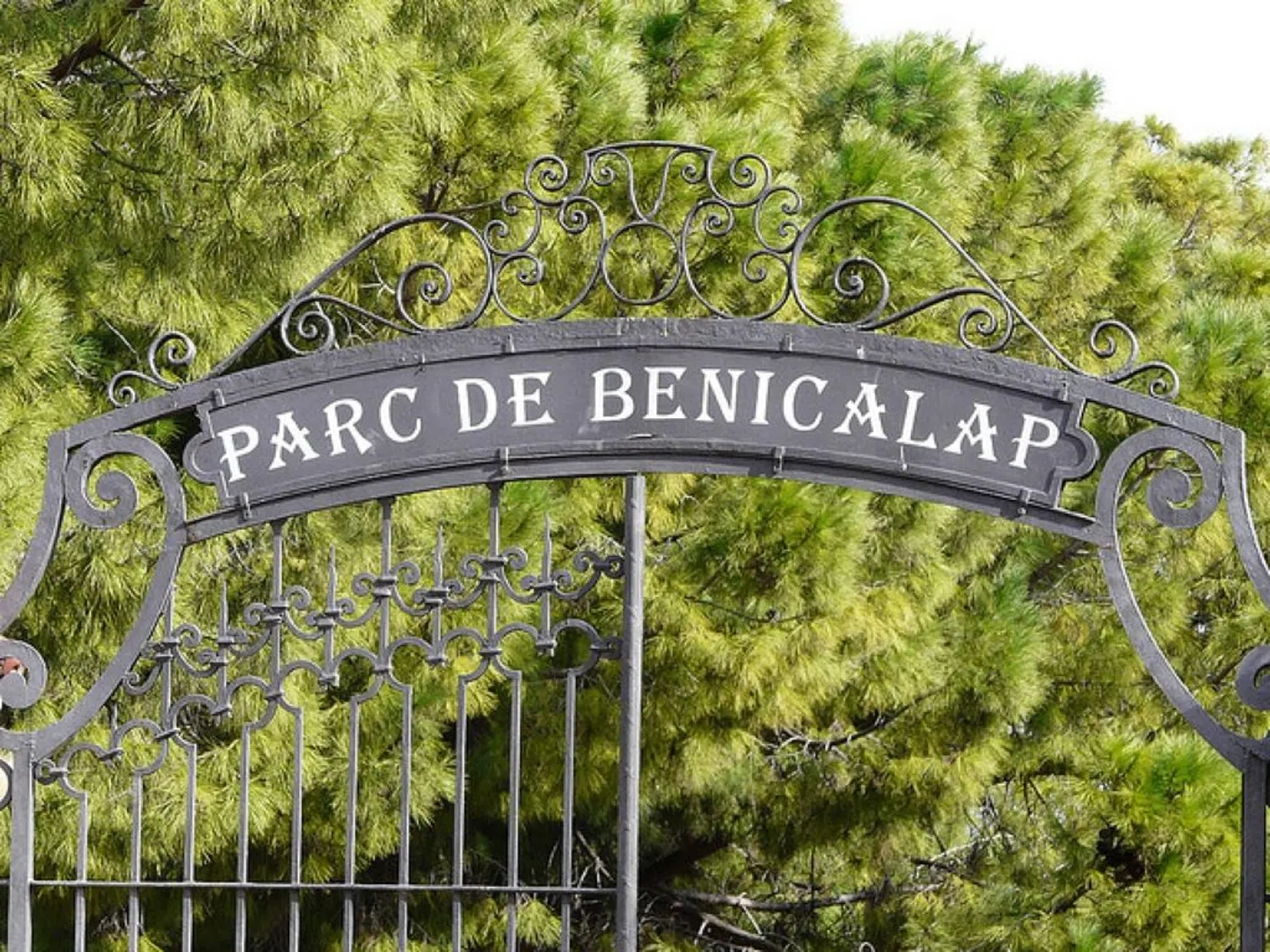 Piso en calle de Josep Grollo, 26 - Foto 35