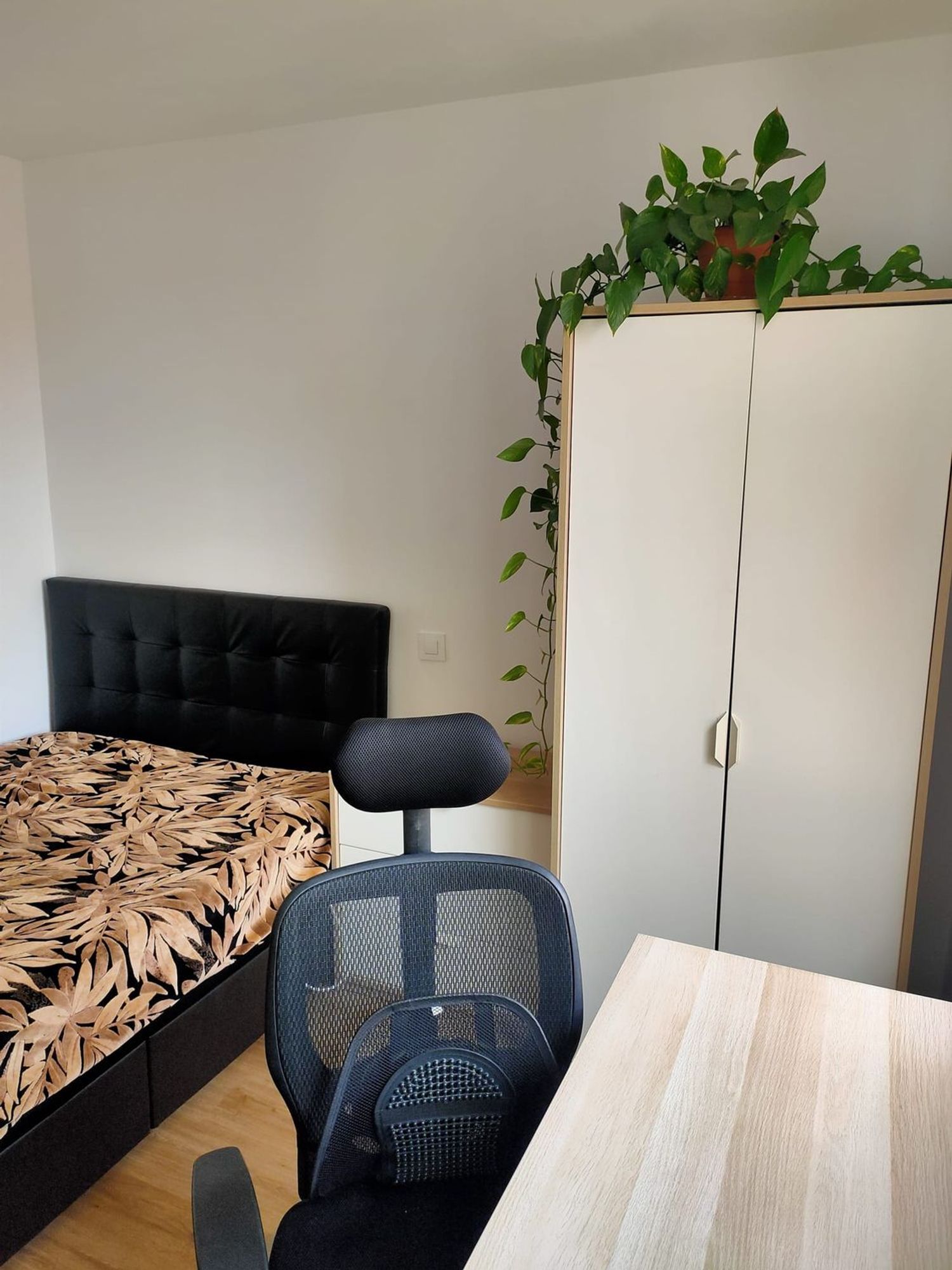 Piso en calle de Cartagena, 172 - Foto 6