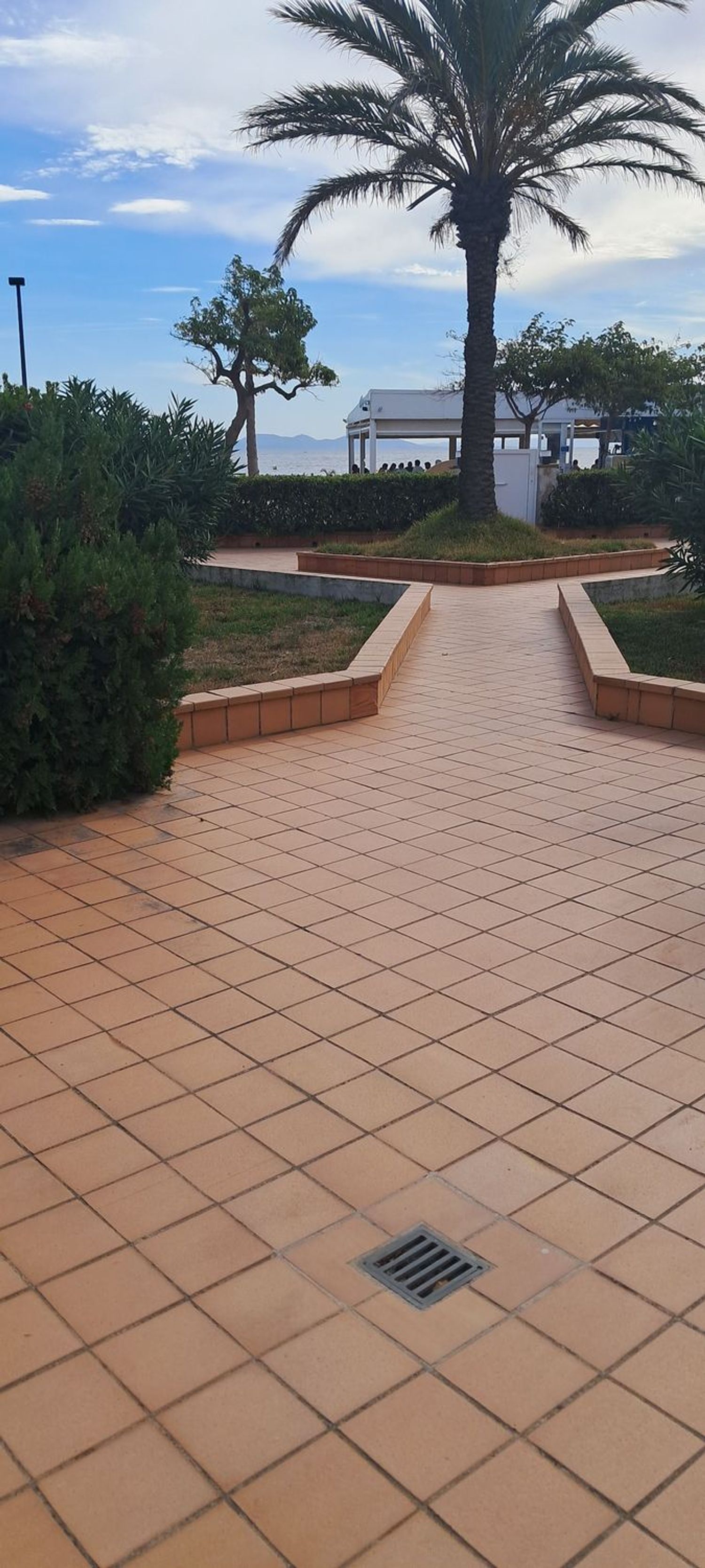 Ático en Calle d'Anselm Turmeda, 2, Salatar, Salatar - Foto 27