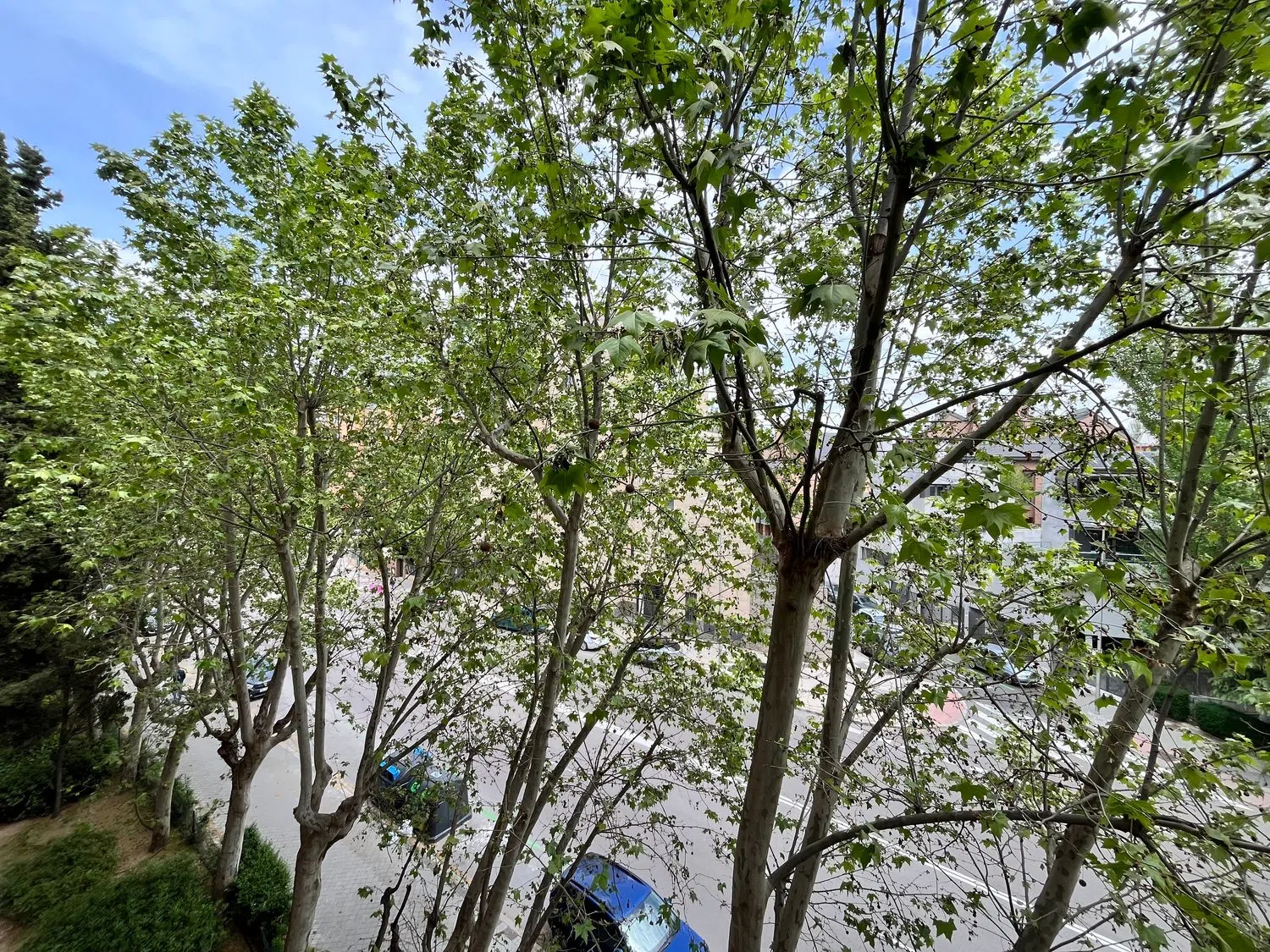 Piso en Barrio Colina - Foto 11