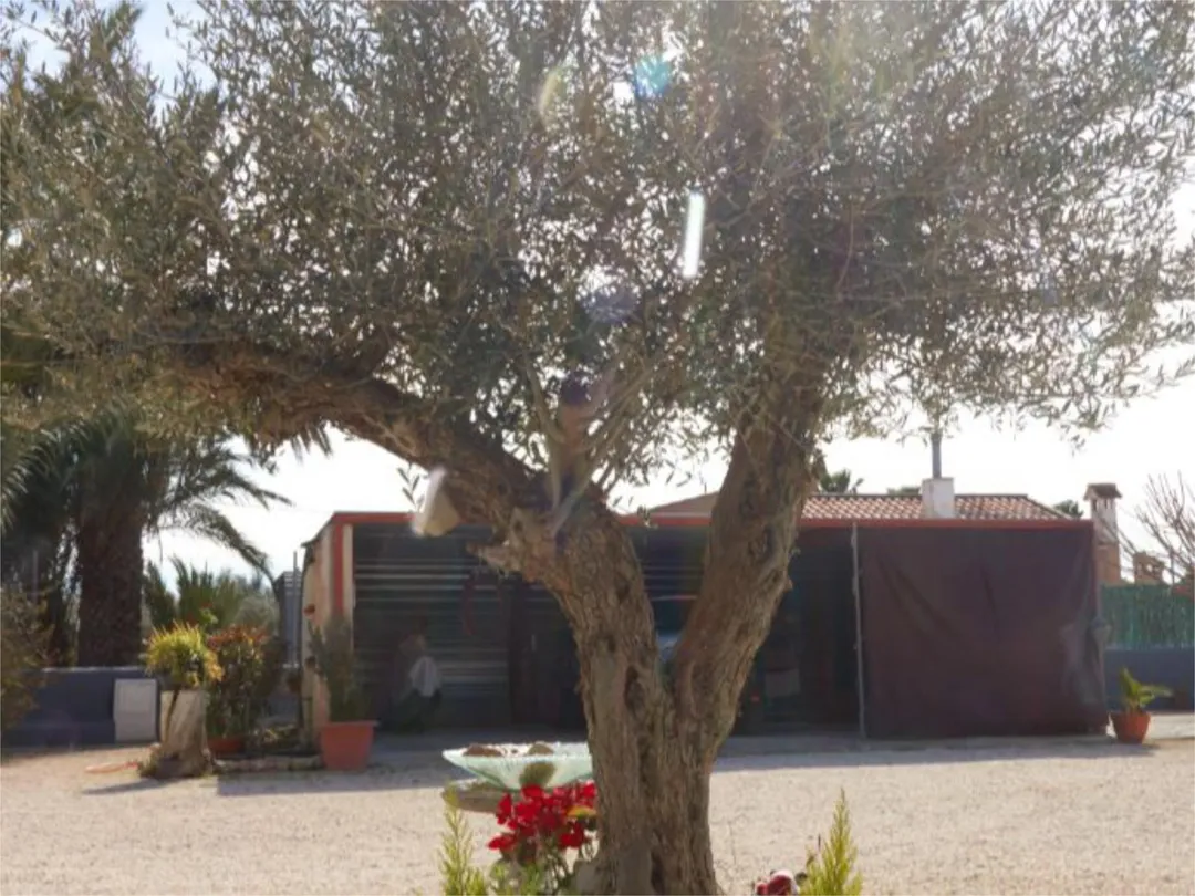 Chalet en  Partida Daimes 216 - Foto 96