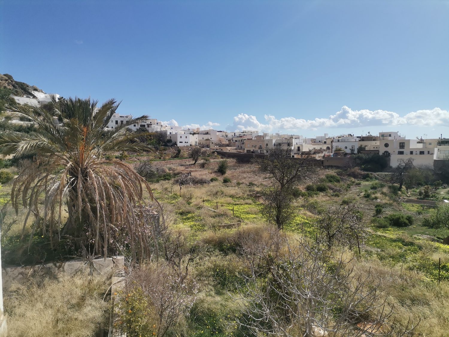 Casa o chalet independiente en Camino de Huebro, 46, Níjar, Níjar - Foto 17