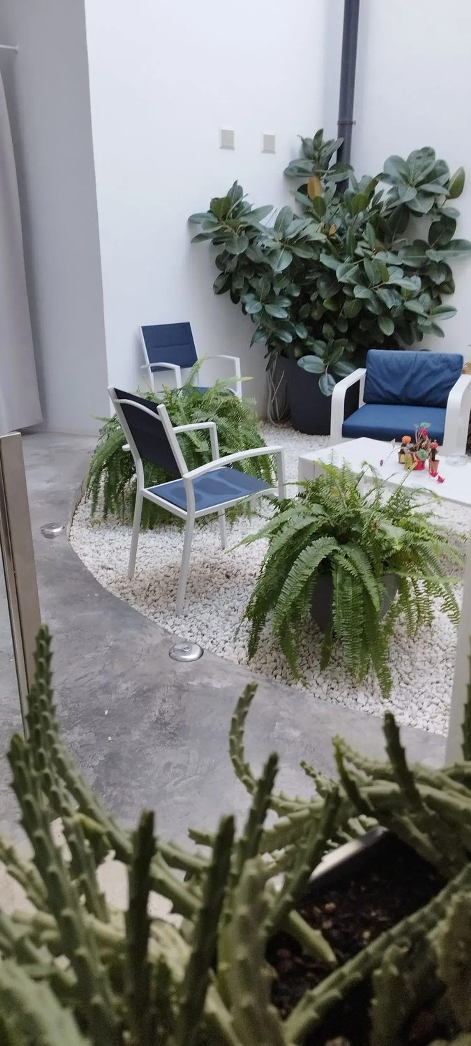 Estudio en plaza de la Corredera, 6 - Foto 16