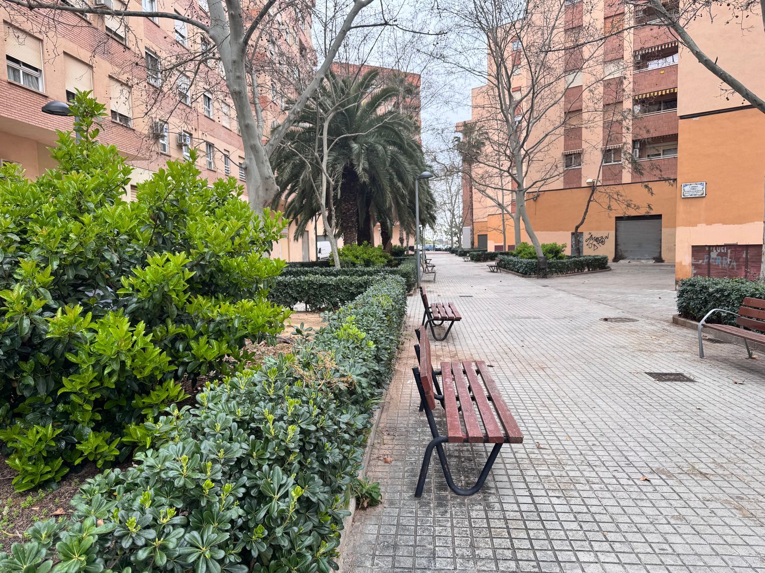 Piso en plaza de Regino Mas, 7 - Foto 1