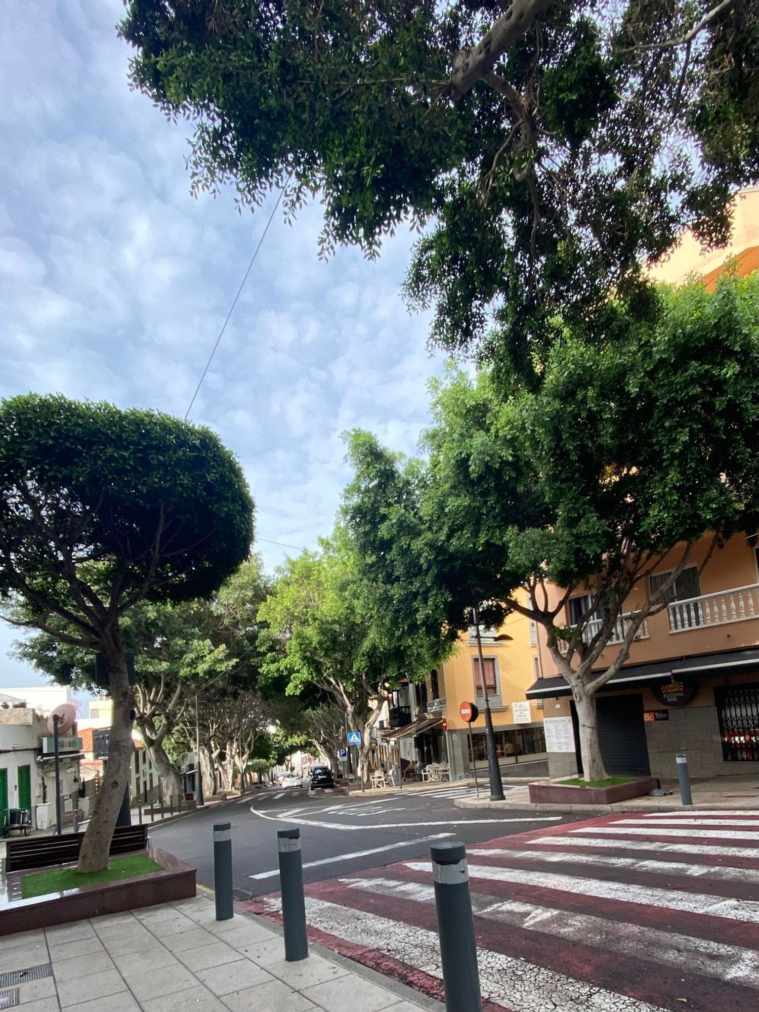 Piso en Calle la Tórtola, 3 - Foto 10