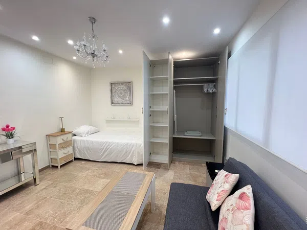 Estudio en Calle jaime segarra, 51, Carolinas Altas - Foto 8