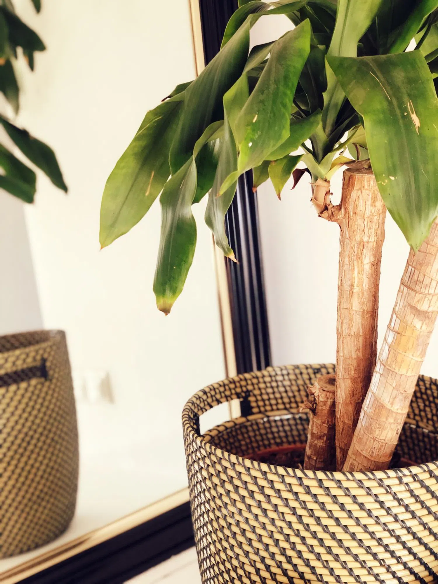 Casa independiente en calle Orquídea, 137 - Foto 26