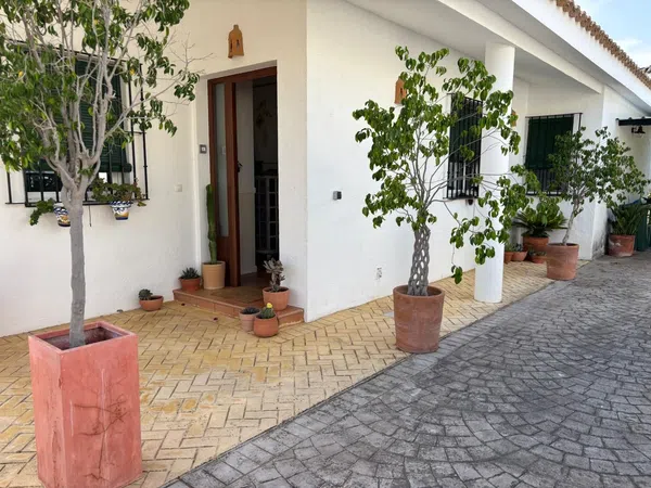 Casa o chalet independiente en Gerena - Foto 10