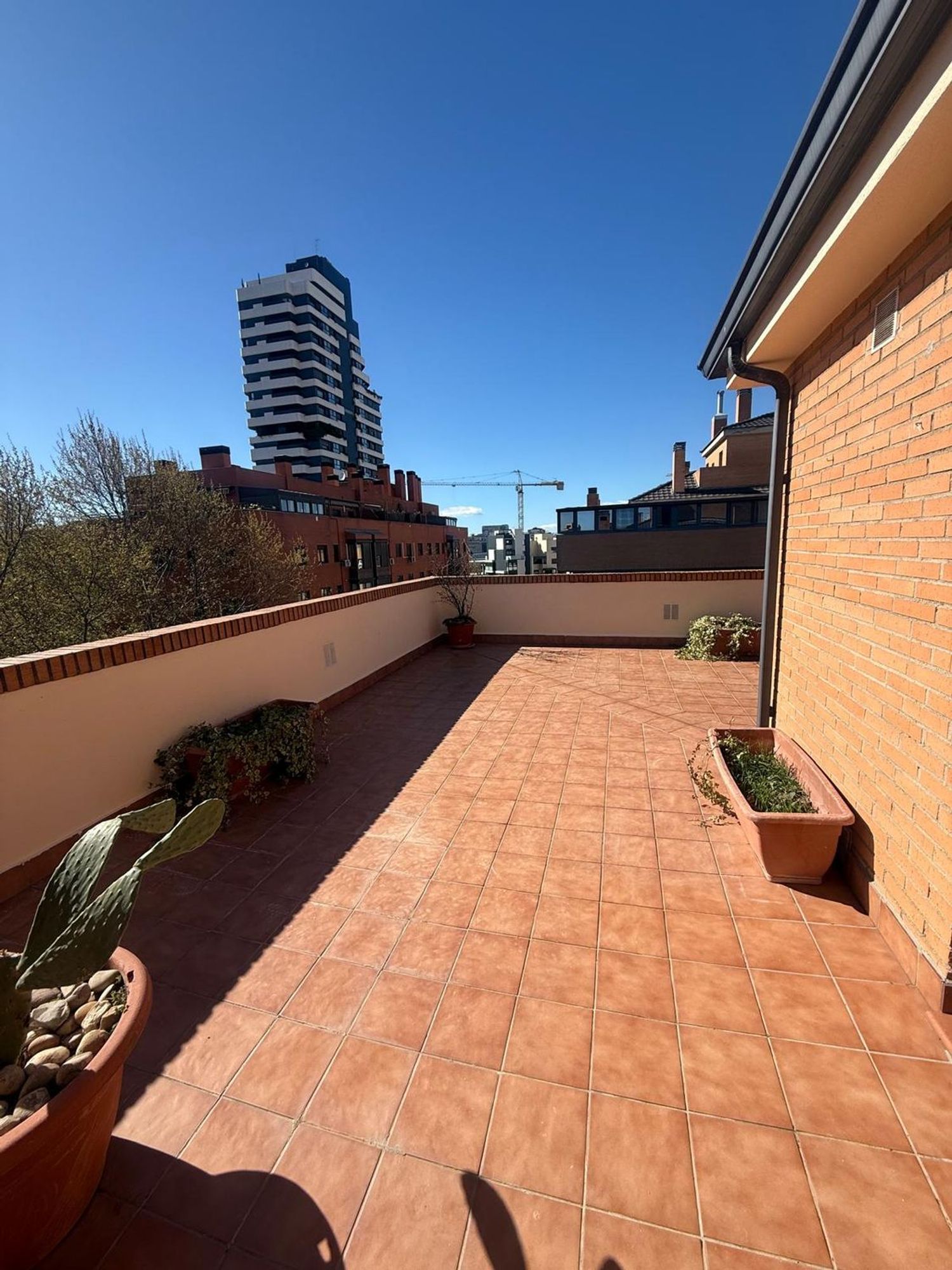 Ático en calle Julián Rabanedo, 22 - Foto 6