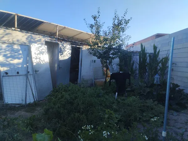 Finca rústica en La rica nueva, 284, Centro, Centro - Foto 1