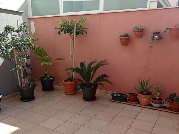 Piso en Almazora, 1, Centro, Centro - Foto 4