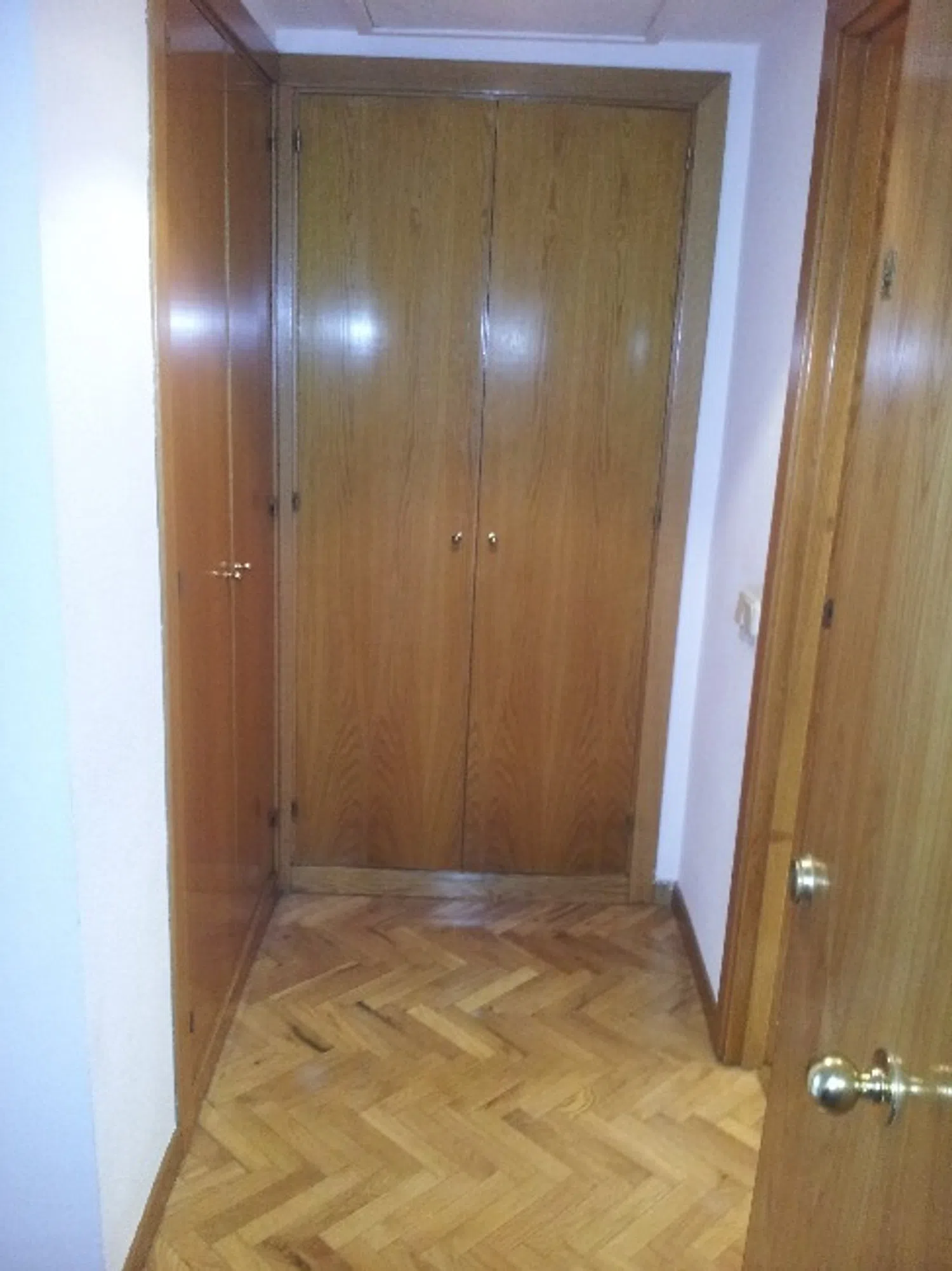 Estudio en calle Abdón Terradas, 6 - Foto 5