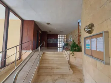 Piso en peguera - Foto 5