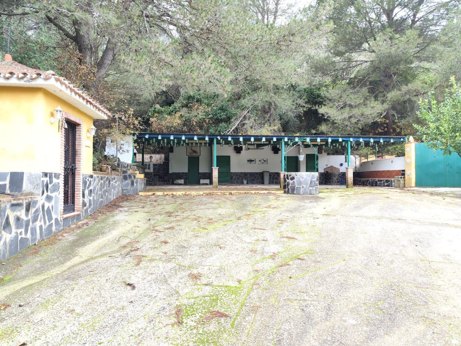 Casa o chalet independiente en venta en Llanos De Purla, 16 - Foto 11
