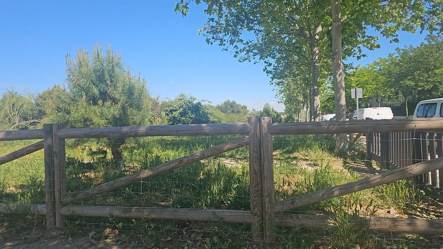 Piso en Tulipan, 6 - Foto 3