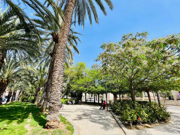 Piso en plaza Doctor Gómez Ulla, 1 - Foto 23