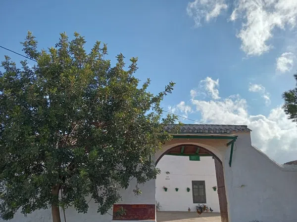 Finca rústica en Paraje Santa Cruz s/n - Foto 5