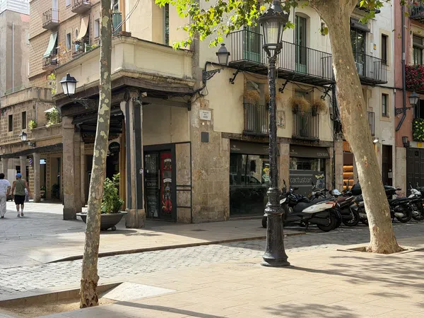 Local en Paseo del Born, 30, Sant Pere - Santa Caterina i la Ribera - Foto 16