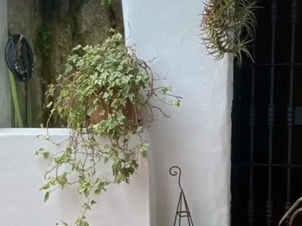 Casa de pueblo en Vejer de la Frontera - Foto 7
