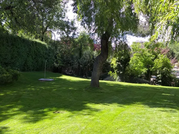 Piso en Avenida Pio XII, 92, Castilla - Foto 27