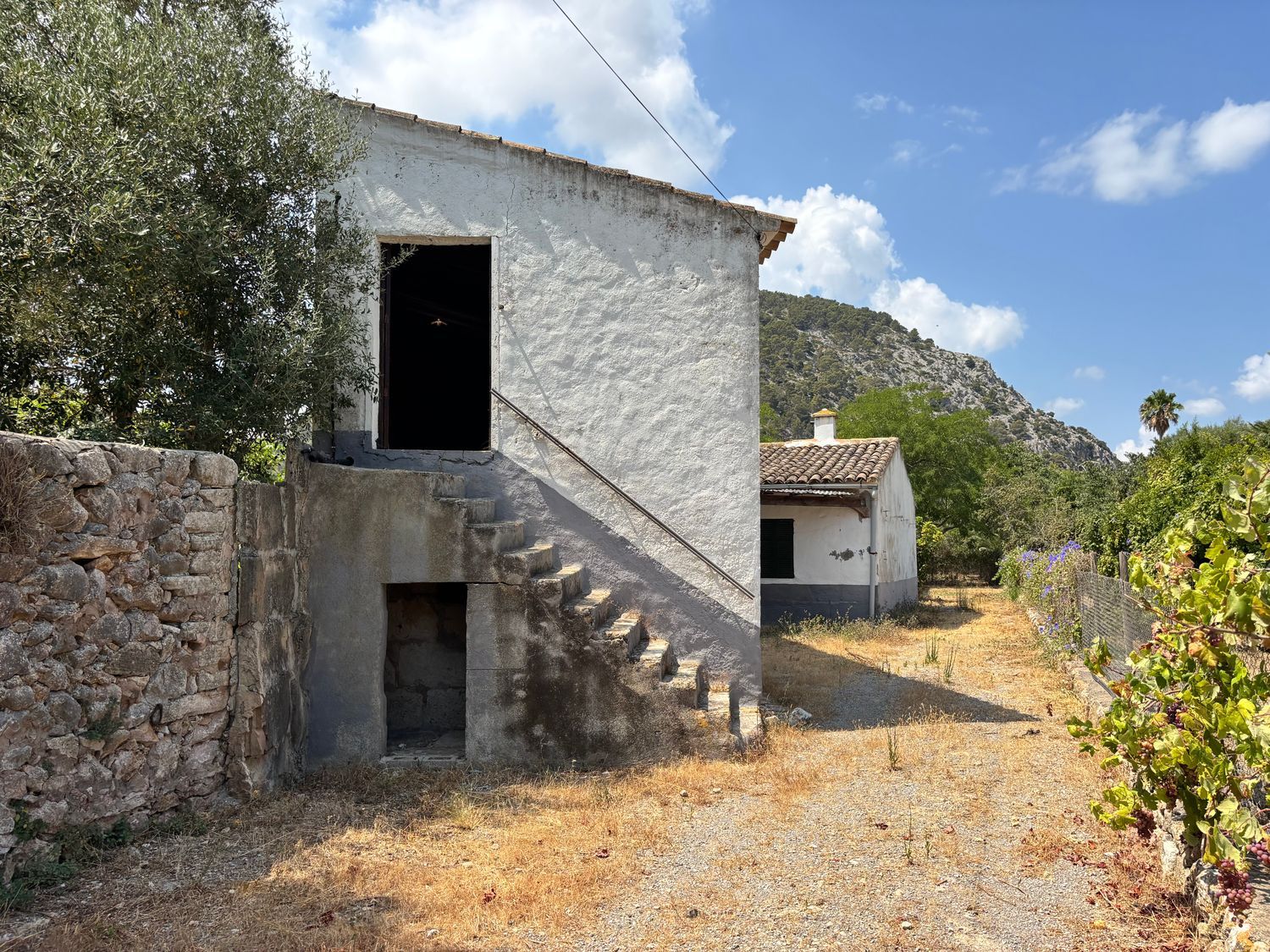 Finca rústica en Santuiri, 2 poligonoparcela, Pollença, Pollença - Foto 2