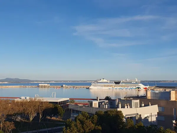 Ático en avenida de Gabriel Roca, 45